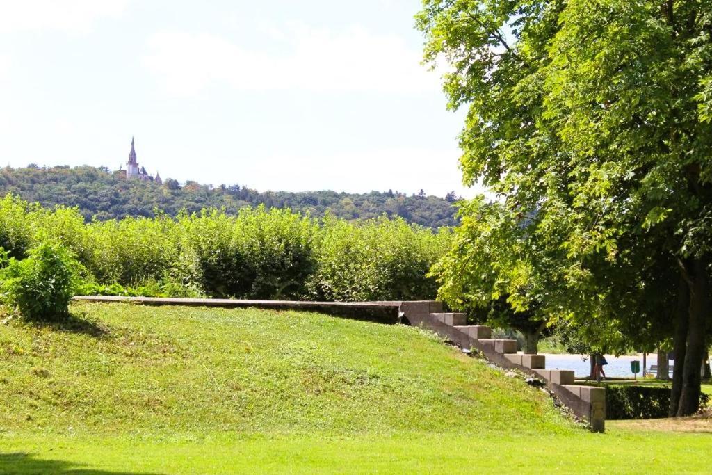 Top Rüdesheim am Rhein Exteriör bild